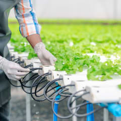 Hydroponics Equipment