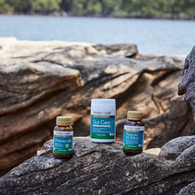 Herbs of Gold Digestive Range 16% off RRP at HealthMasters Herbs Of Gold