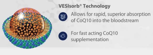 Metagenics Bio Q Absorb VESISORB Technology | HealthMasters Metagenics