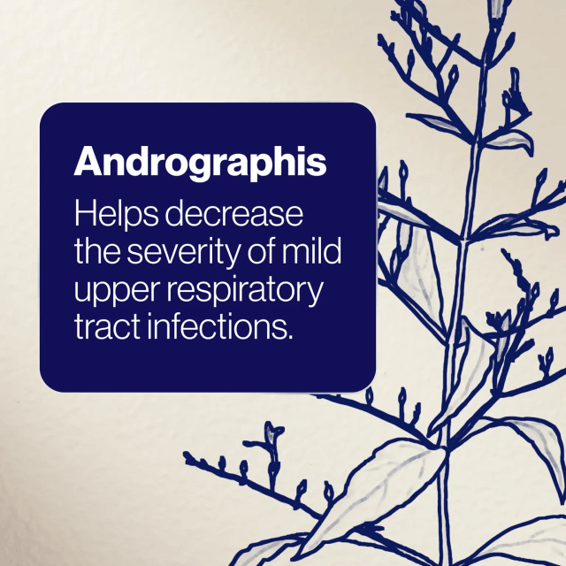 BioCeuticals ArmaForce 10% off RRP at HealthMasters Andrographis
