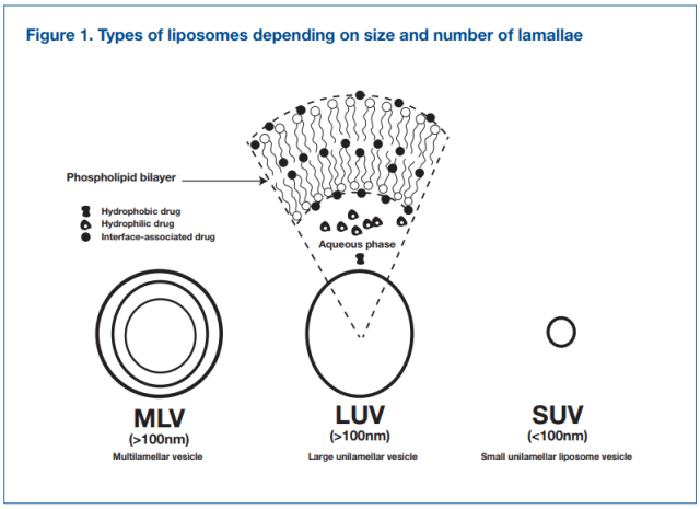 BioCeuticals Liposomal C | HealthMasters