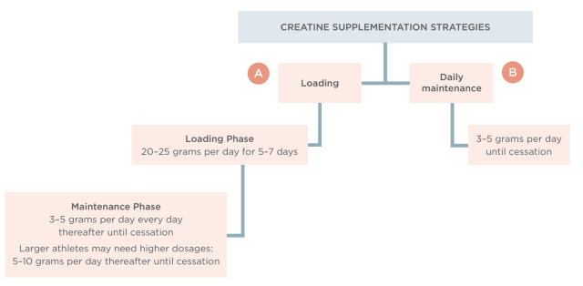 Designs For Health Creatine Monohydrate