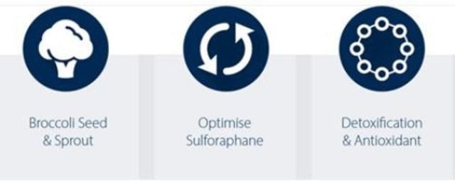 Metagenics SulforaClear 60 caps 10% off RRP | HealthMasters Metagenics Summary