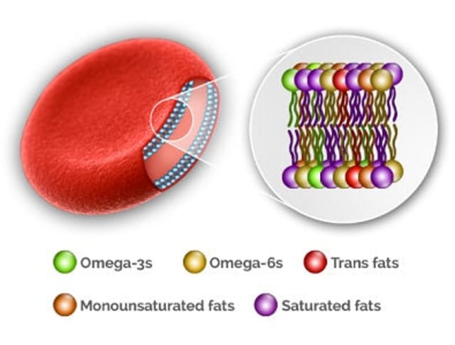 Omega-3 Index Test 10% off RRP Items Tested | HealthMasters
