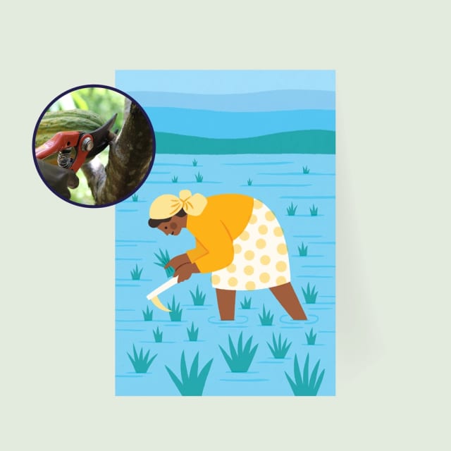 Farming tools for a woman