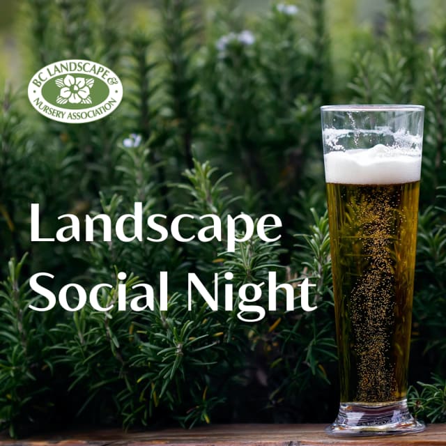 Landscape Social Night