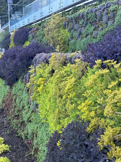 Living Art by the Ocean