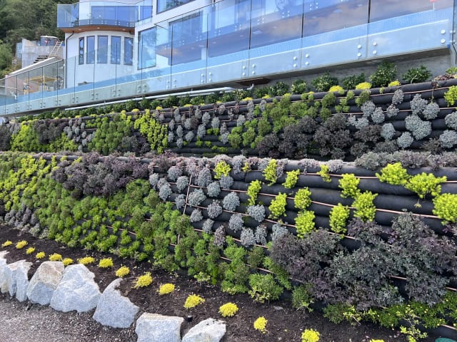 Living Art by the Ocean