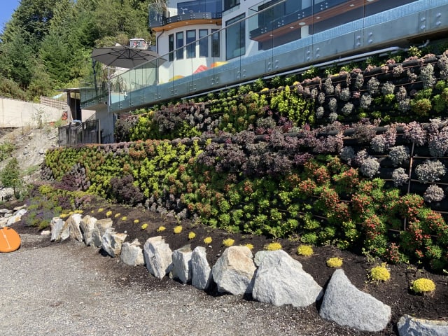 Living Art by the Ocean