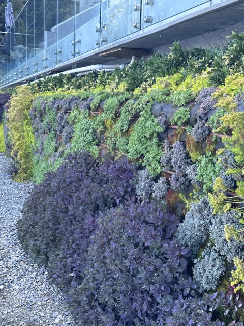 Living Art by the Ocean