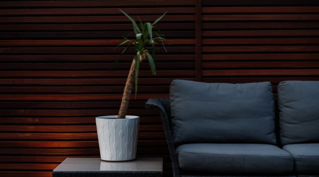 Mill Street Oasis: Nature's Urban Retreat