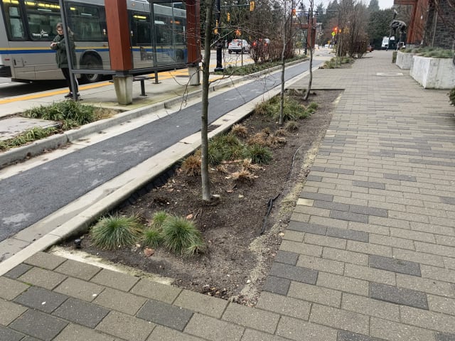 Residences at Lynn Valley II