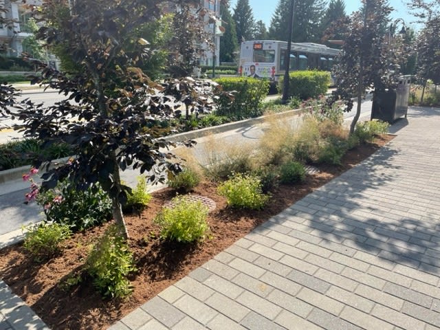 Residences at Lynn Valley II