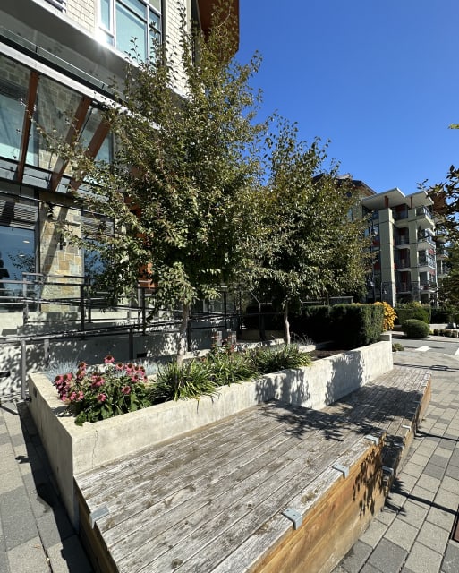 Residences at Lynn Valley II