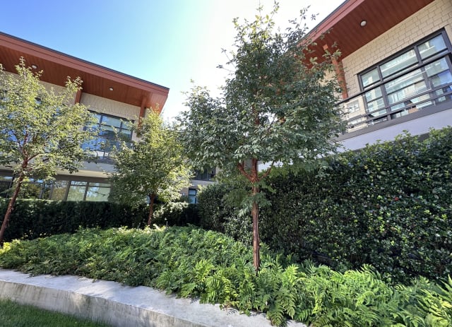 Residences at Lynn Valley II