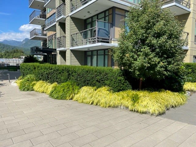 Residences at Lynn Valley II