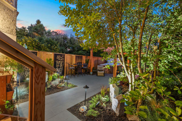 The Barney Backyard Metamorphosis