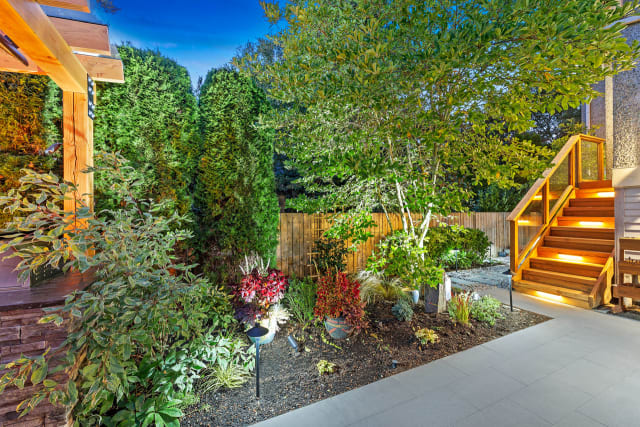 The Barney Backyard Metamorphosis