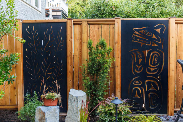The Barney Backyard Metamorphosis