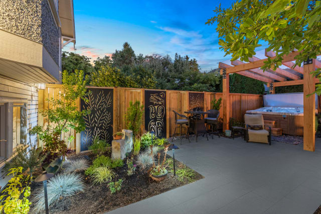 The Barney Backyard Metamorphosis