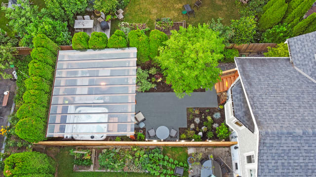 The Barney Backyard Metamorphosis