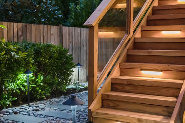 The Barney Backyard Metamorphosis