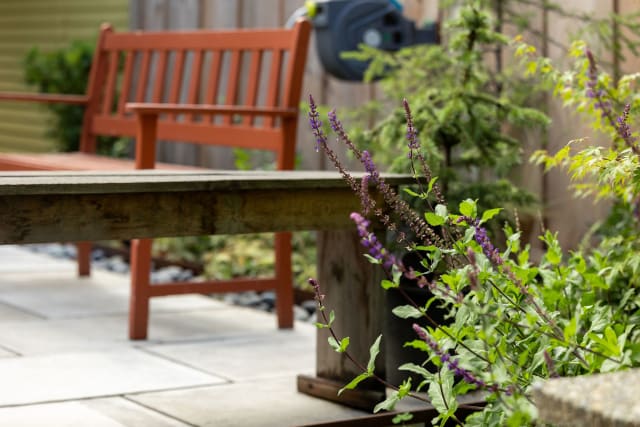 Urban Serenity