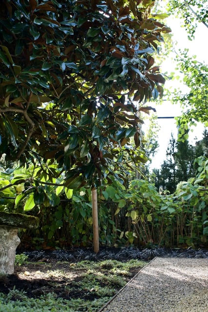 West Coast Modern: A Sustainable Landscape