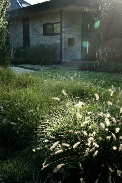 West Coast Modern: A Sustainable Landscape
