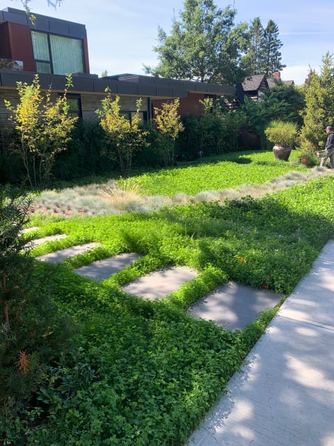 West Coast Modern: A Sustainable Landscape