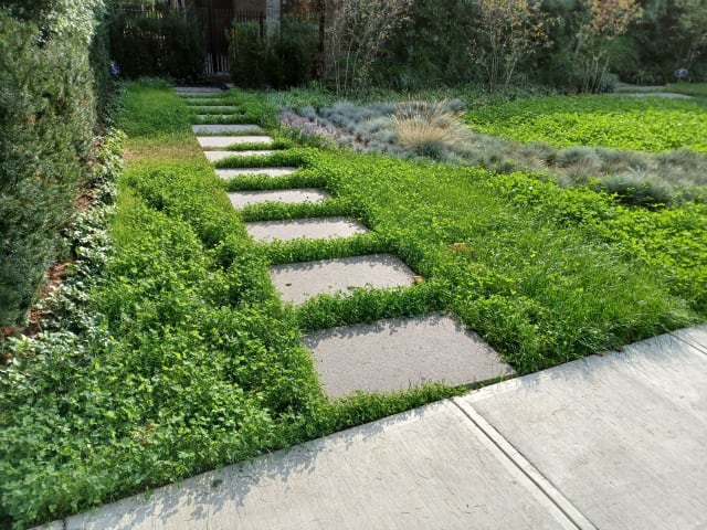 West Coast Modern: A Sustainable Landscape