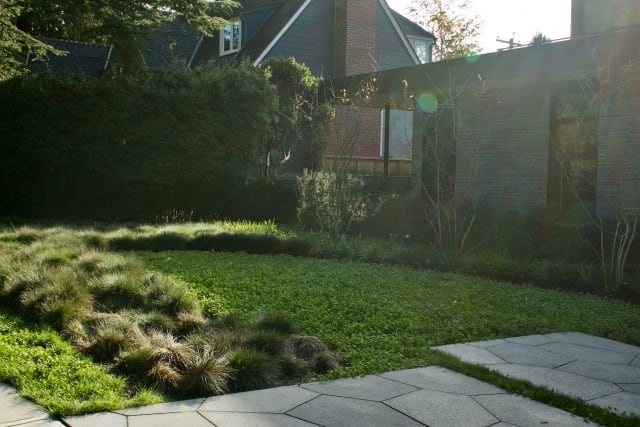 West Coast Modern: A Sustainable Landscape