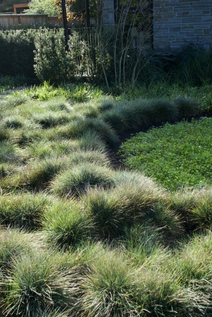West Coast Modern: A Sustainable Landscape