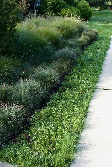 West Coast Modern: A Sustainable Landscape