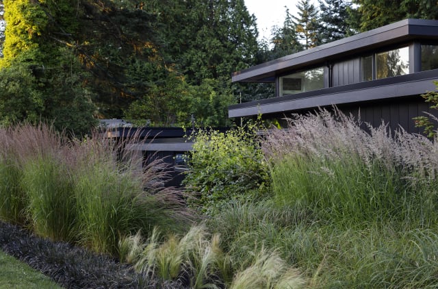 The Black House