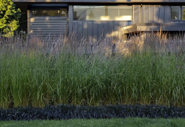 The Black House