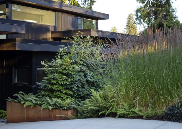 The Black House