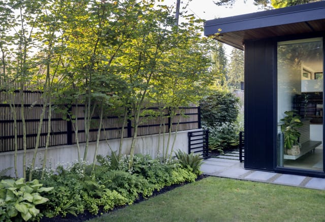 The Black House
