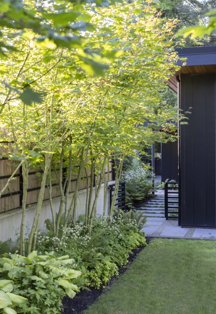 The Black House