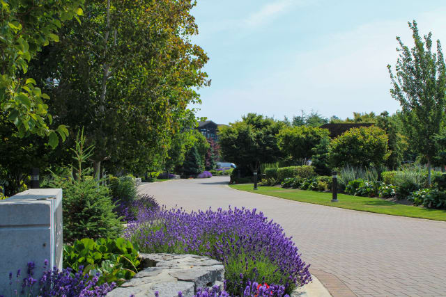 Tsawwassen Springs Apartments