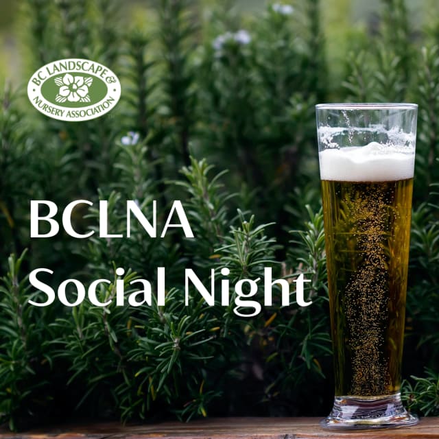 Landscape Social Night