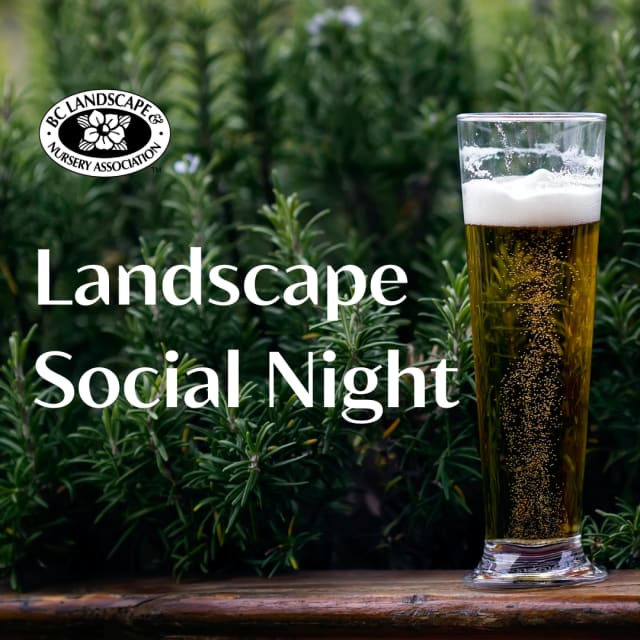Landscape Social December 2025