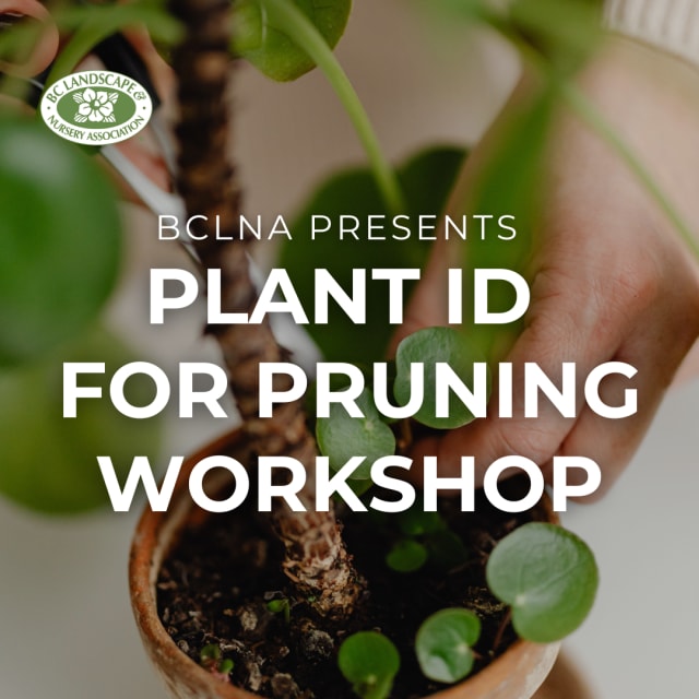 2026 Plant ID for Pruning Workshop