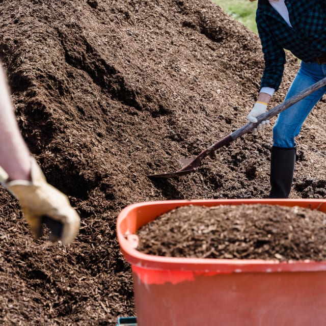 Composted Bark