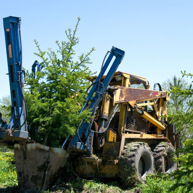 Tree Spades/Moving Equipment