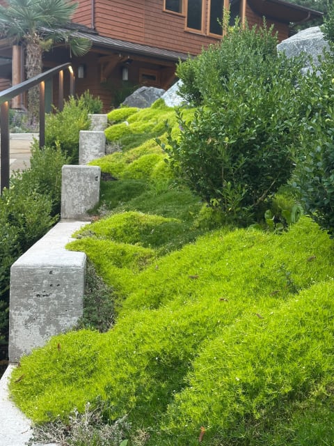 Homage to Aker (Guardian of Entrances)