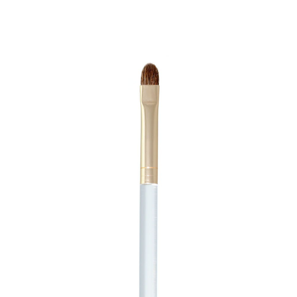 Acrylic handle lip brush with goat hair