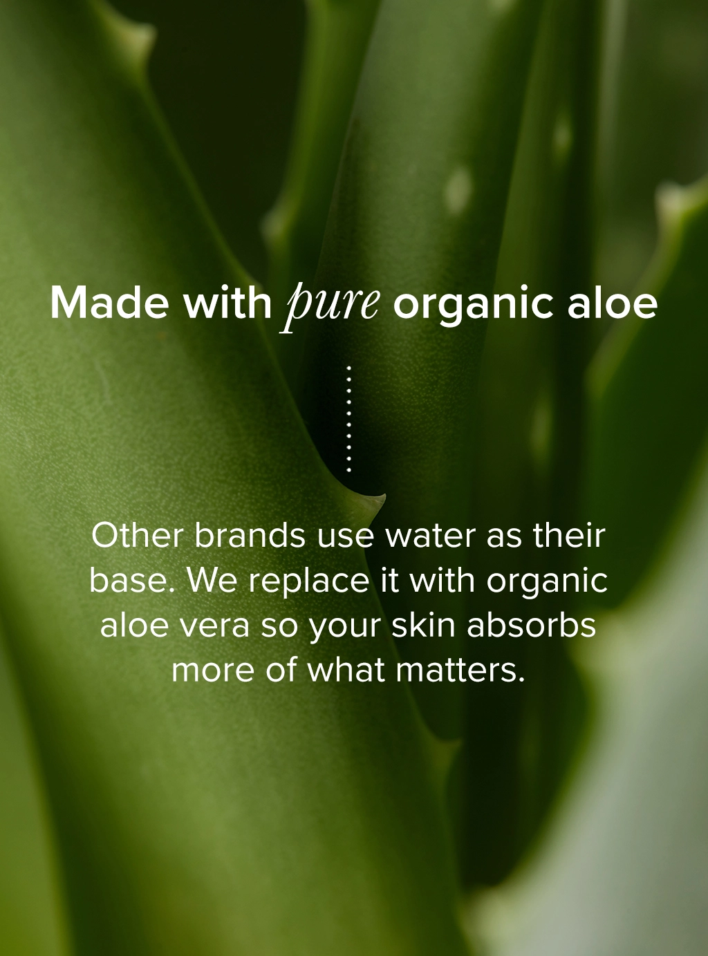 Image of Aloe Vera - Made with pure organic aloe