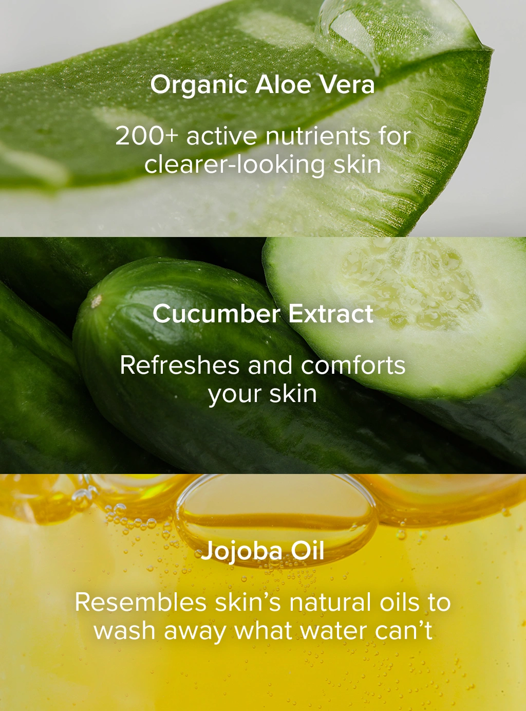 Aloe Foaming Cleanser ingredients - Organic Aloe Vera, Cucumber Extract, Jojoba Oil