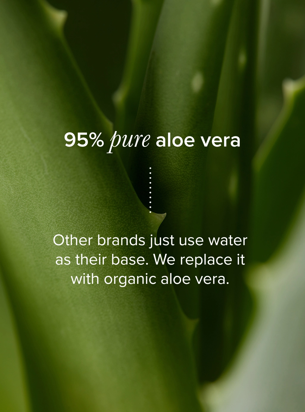 95% Aloe Hydrating infographic - 95% pure aloe vera vs water
